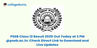 PSEB Class 12 Result 2025 Declared @pseb.ac.in: 91% pass; Check Direct Link to Download and Live Updates
